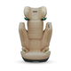 RECARO Автокресло AXION 1 Elegant Beige