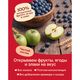 Semper Фруктово-зерновое пюре "Пюре Яблочно-черничное с кашей" 120гр Semper Фруктово-зерновое пюре "Пюре Яблочно-черничное с кашей" 120гр
