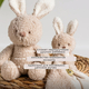 Nattou Игрушка мягкая Soft toy TEDDY Кролик 856331 Nattou Игрушка мягкая Soft toy TEDDY Кролик 856331