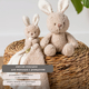 Nattou Игрушка мягкая Soft toy TEDDY Кролик 856331 Nattou Игрушка мягкая Soft toy TEDDY Кролик 856331