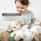 Nattou Игрушка мягкая Soft toy TEDDY Собачка 856317 Nattou Игрушка мягкая Soft toy TEDDY Собачка 856317