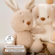 Nattou  Игрушка мягкая Musical Soft toy TEDDY Кролик музыкальная 856386