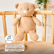 Nattou Игрушка мягкая Musical Soft toy TEDDY Мишка музыкальная