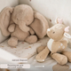Nattou Игрушка мягкая Soft toy FANFAN Слонёнок sand Nattou Игрушка мягкая Soft toy FANFAN Слонёнок sand