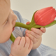 MARIA THE TULIP RATTLE TOY, погремушка L-RATTLE-TULIP MARIA THE TULIP RATTLE TOY, погремушка L-RATTLE-TULIP