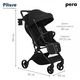 PITUSO коляска детская PERA Black New/carbon/PU